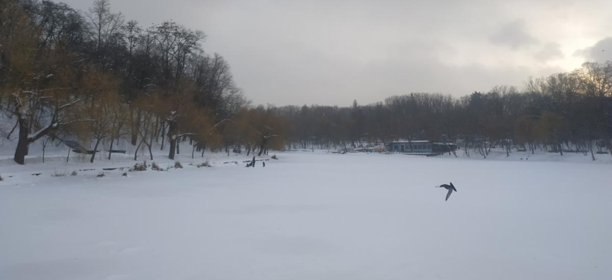 Голосіївський парк під загрозою забудови!