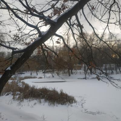 Голосіївський парк під загрозою забудови!