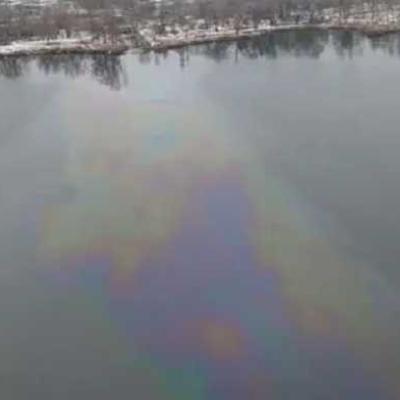 В Киеве поверхность озера закрыло нефтяным пятном