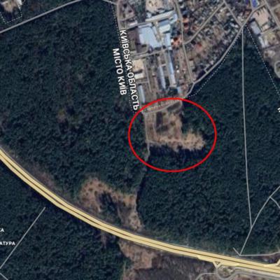 🌲 Ліс, депутат Царенко і 17 років тиші